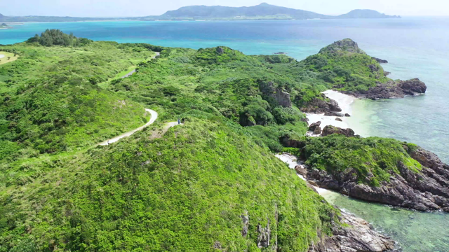 石垣島への旅……ふたつ目の目的はコレでしたの記事動画