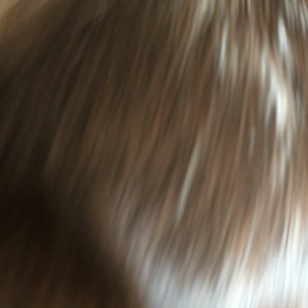 ギャン吠えクッキーの画像