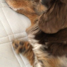 発作（´-`）の画像