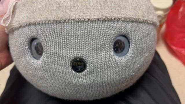 たまちゃん…の記事動画