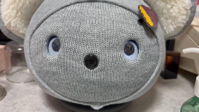 ヤバイお知らせ(爆)の記事動画