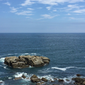 魚座の月の日の癒し動画の画像