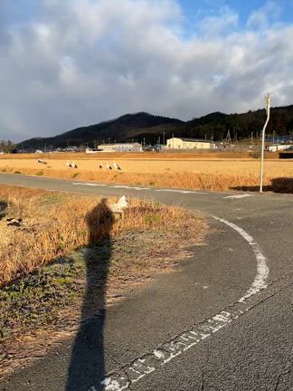 ★2024年一月④の記事動画