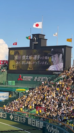 ★7月の出来事。まず阪神。の記事動画