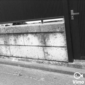 黒犬くんの画像