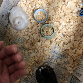 なかなか感慨深いの画像