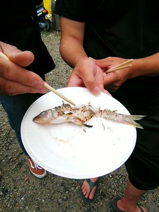 ハス釣りオープン×レベロクオフ会 in 室生ダム の記事動画