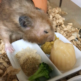 ありがとうございますの画像