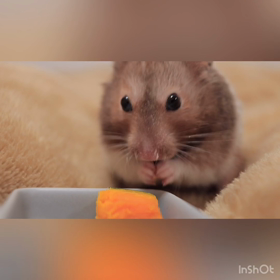 おうちで過ごそうの画像