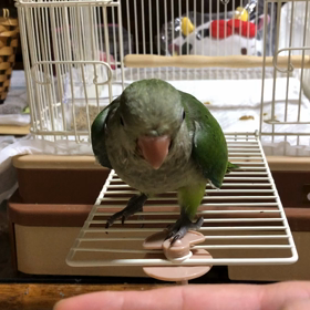 実家の画像