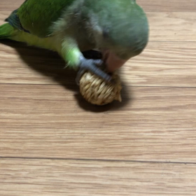 コロナワクチン接種の画像