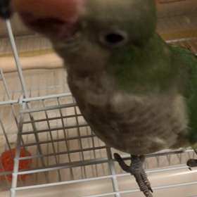 食事拒否‼️の画像