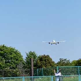 飛行機✈️の画像