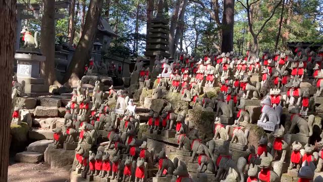 満員御礼・エネルギー佳し！　の記事動画