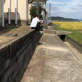 なにをしてる？の画像