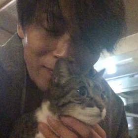 たまに行くならこんな宿。の画像