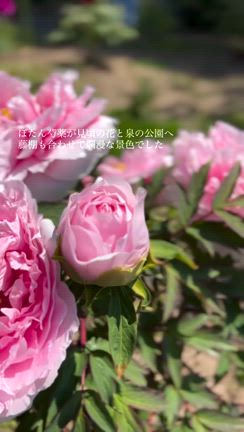 2024/05/09の記事動画