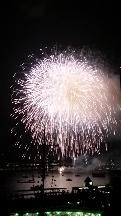 東京湾花火大会♡の記事動画