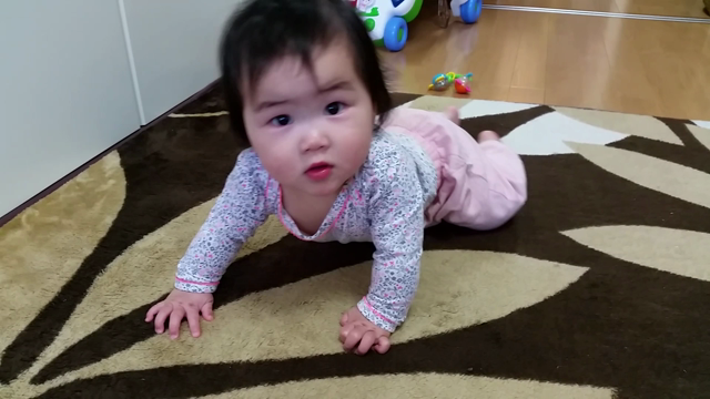 ブログ再開しま～す‼の記事動画