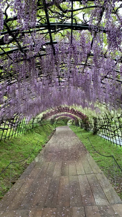 一生に一度は行ってみたい世界の絶景の記事動画