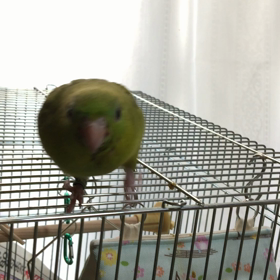 今朝のJURYの画像
