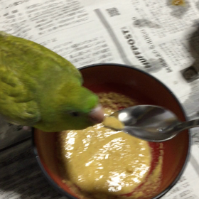 ご飯なう。の画像