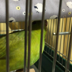 良い子はそろそろ寝ませう。の画像