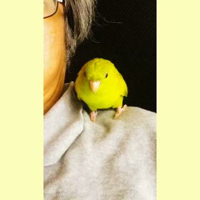 大好き！の画像