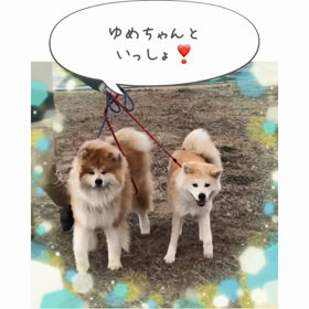 琵琶湖デート❤️の画像