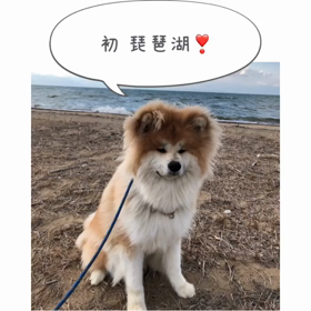 初 琵琶湖❣️の画像