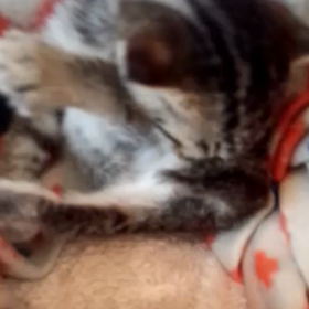 赤ちゃん春くん初動画の画像