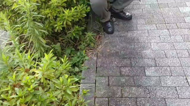 速報！地区大会場にて平日開催を抗議するプラカード掲げました！の記事動画