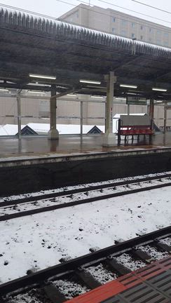 雪！！の記事動画