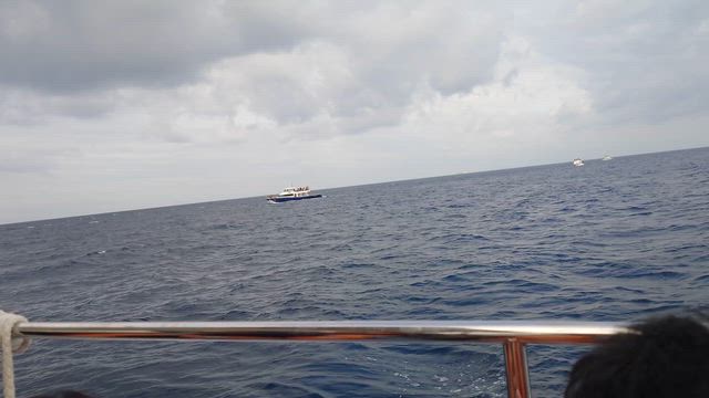 沖縄4日目の記事動画