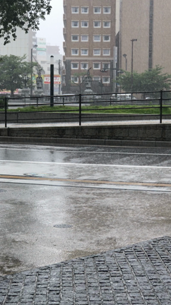 ⭐️雨が…⭐️の記事動画