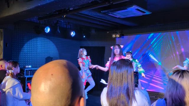 にゃーにゃーにゃーで猫の日。のアイドルライブの記事動画