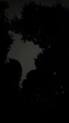 オンの夜、オフの夜。の記事動画