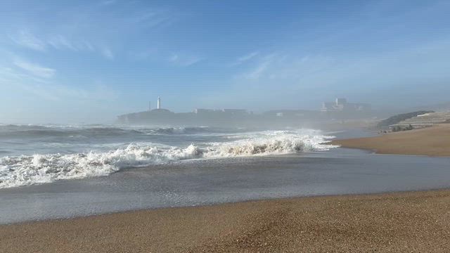 真夏の海の記事動画