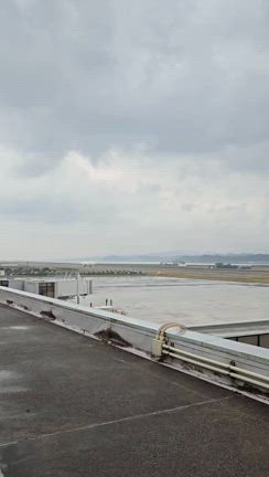 令和６年★今年も出雲大社に・出雲縁結び空港で……現地集合の記事動画