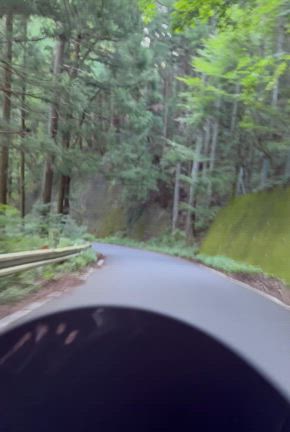 お散歩コースの峠を朝駆けの記事動画