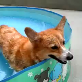 出てきた動画の画像