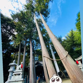 楽しかった……の画像