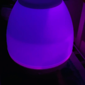 念願の……の画像