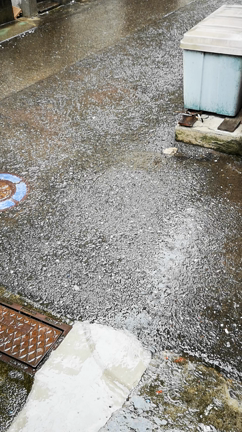 大雨始まりの土曜日！お昼はまったりとwの記事動画