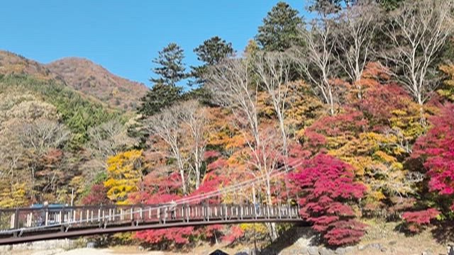 秋色に染まる南会津への記事動画