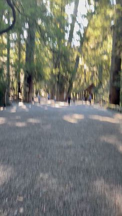 10月「神無月（かんなづき）」のおついたち参り〜❣️の記事動画