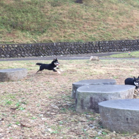 ぐるぐ るの画像