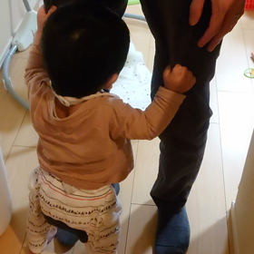 つたい歩きとジャネーの法則の画像