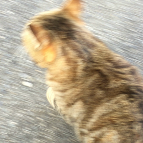 心を開くの画像