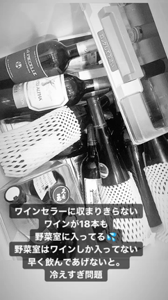 ワイン会しなくちゃ。の記事動画